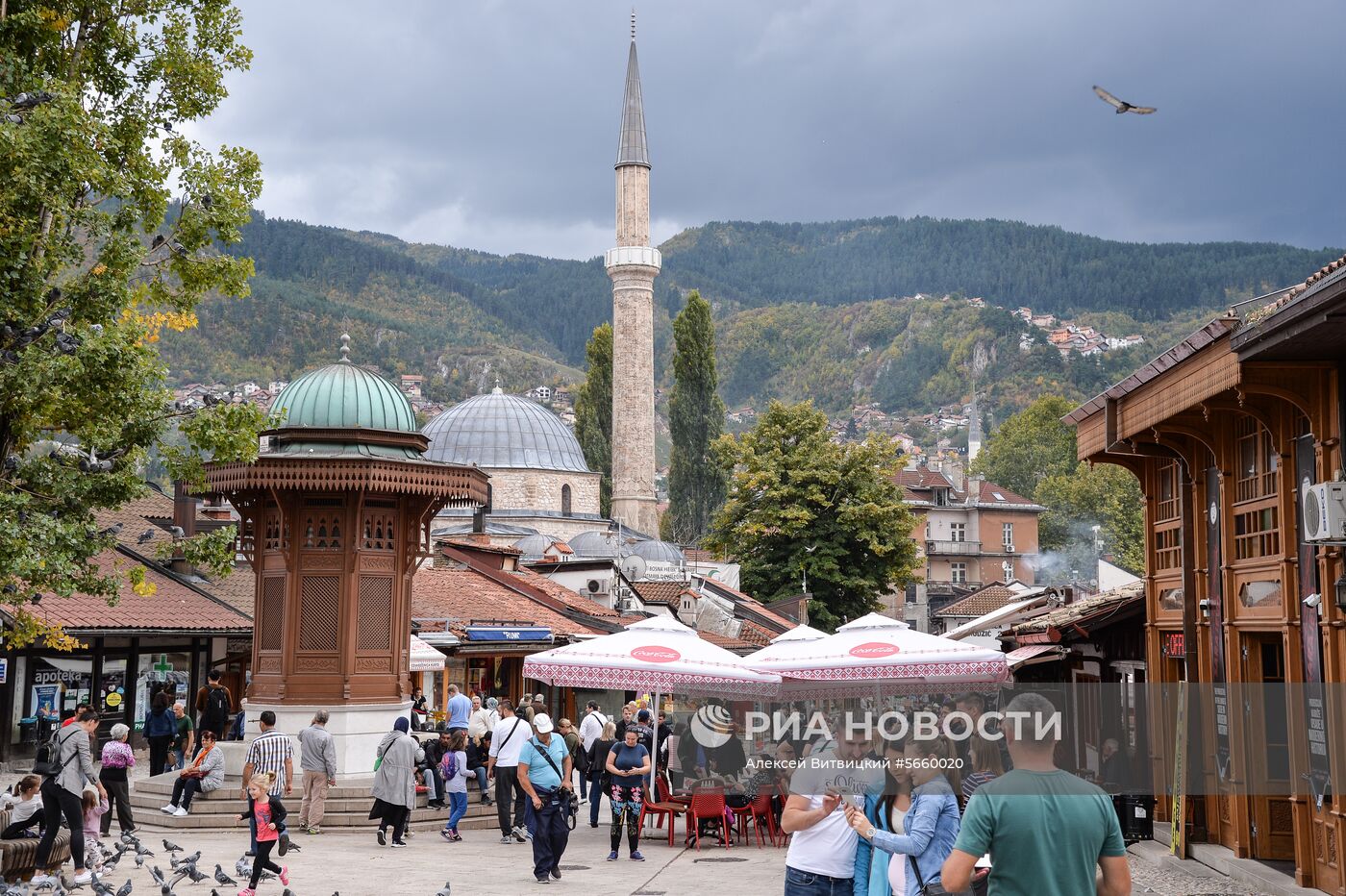Страны мира. Босния и Герцеговина