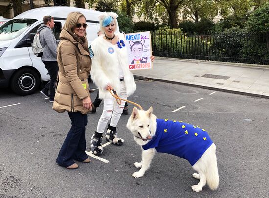 Марш владельцев собак против Brexit в Лондоне