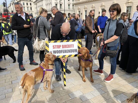 Марш владельцев собак против Brexit в Лондоне