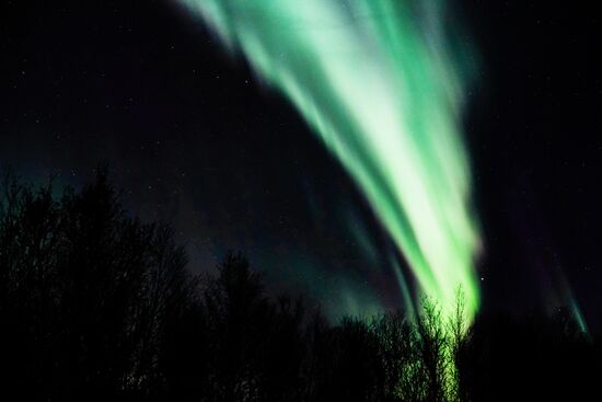 Северное сияние в Мурманской области