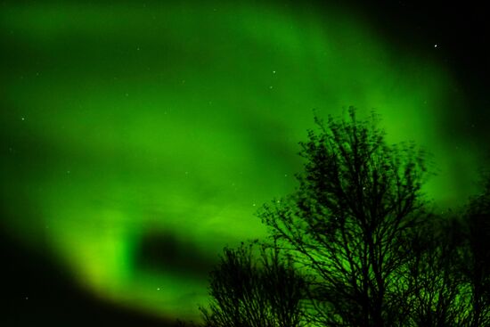 Северное сияние в Мурманской области
