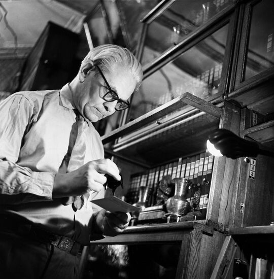 Искусствовед Н. С. Тагрин