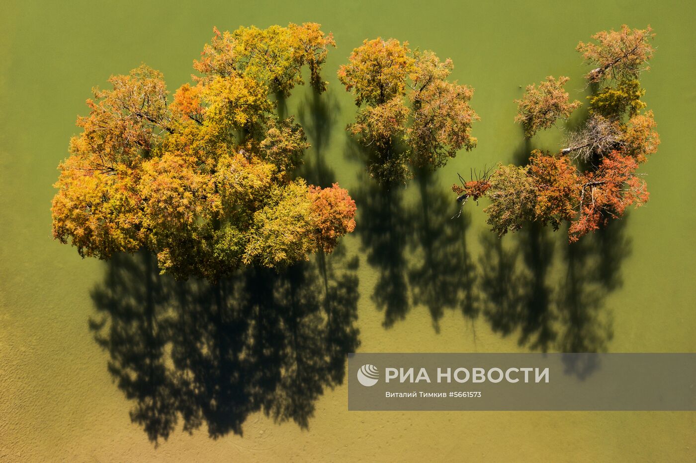 Регионы России. Краснодарский край