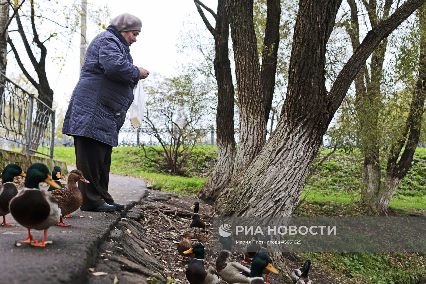 Регионы России. Вологодская область