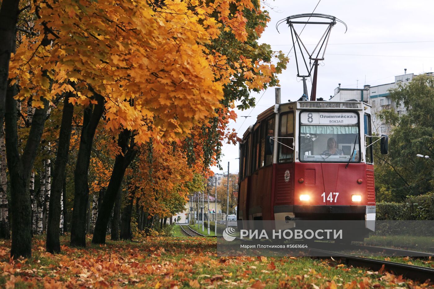 Трамвай на одной из улиц в Череповце