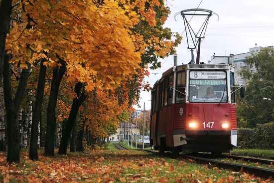 Трамвай на одной из улиц в Череповце