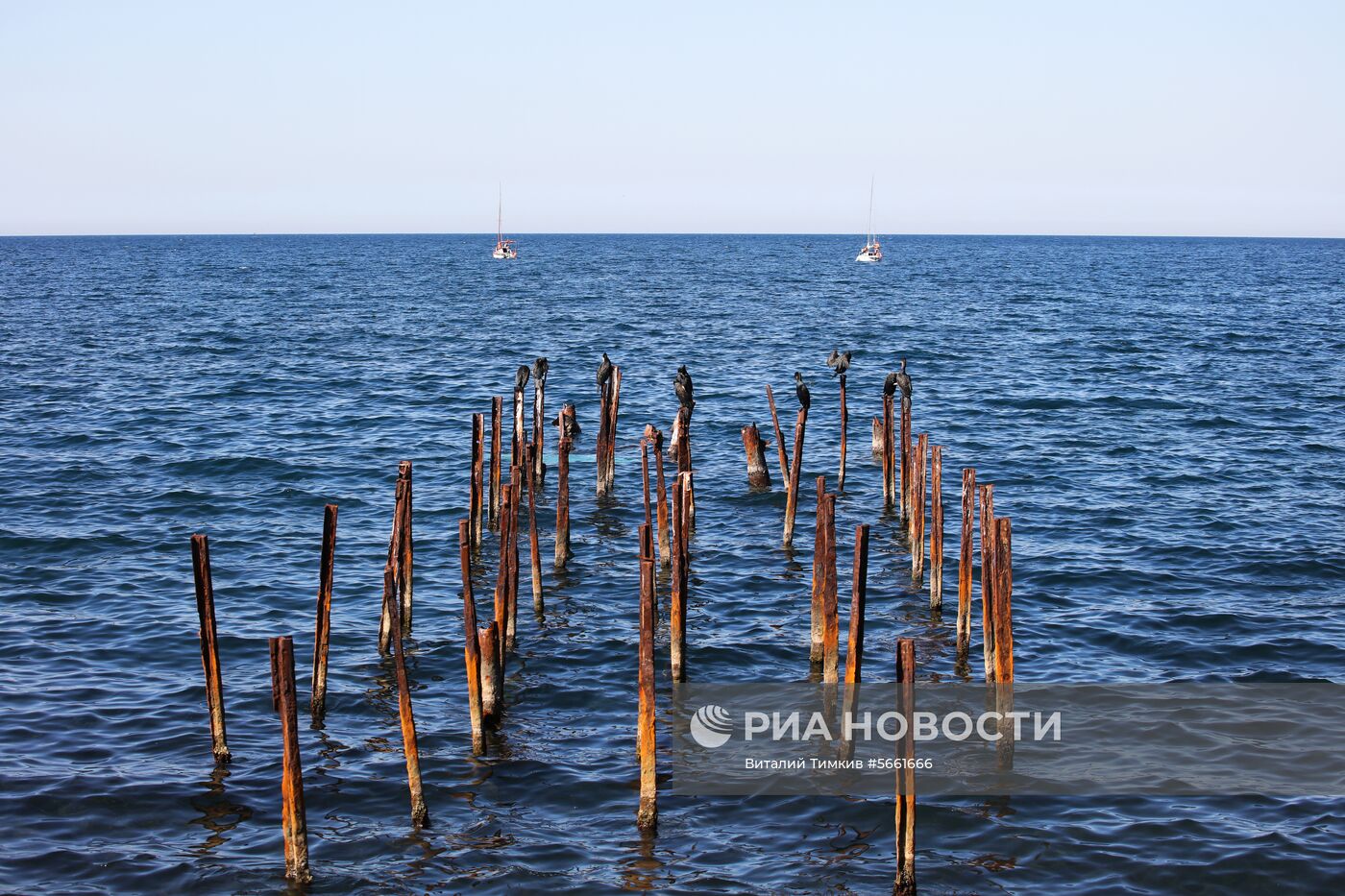 Регионы России. Краснодарский край