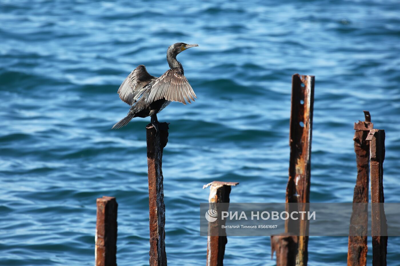 Регионы России. Краснодарский край