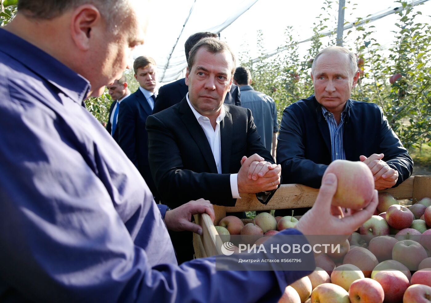 Рабочая поездка президента РФ В. Путина и премьер-министра РФ Д. Медведева в Ставропольский край