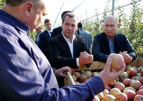 Рабочая поездка президента РФ В. Путина и премьер-министра РФ Д. Медведева в Ставропольский край