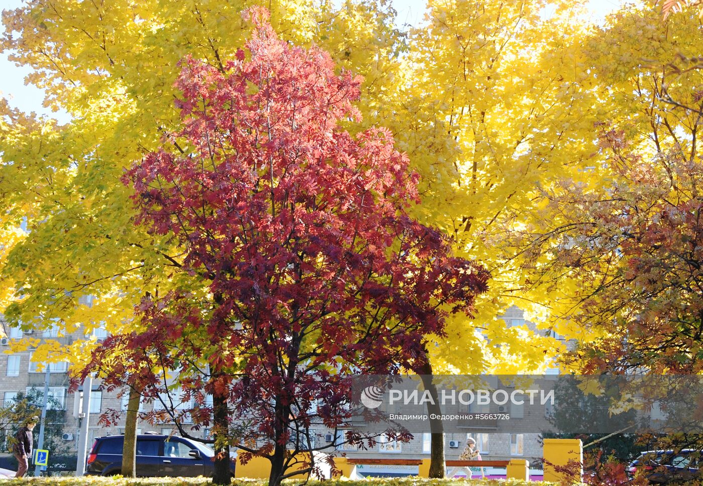 Осень в Москве