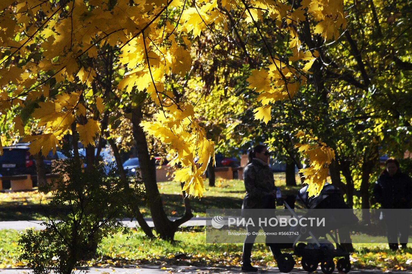 Осень в Москве