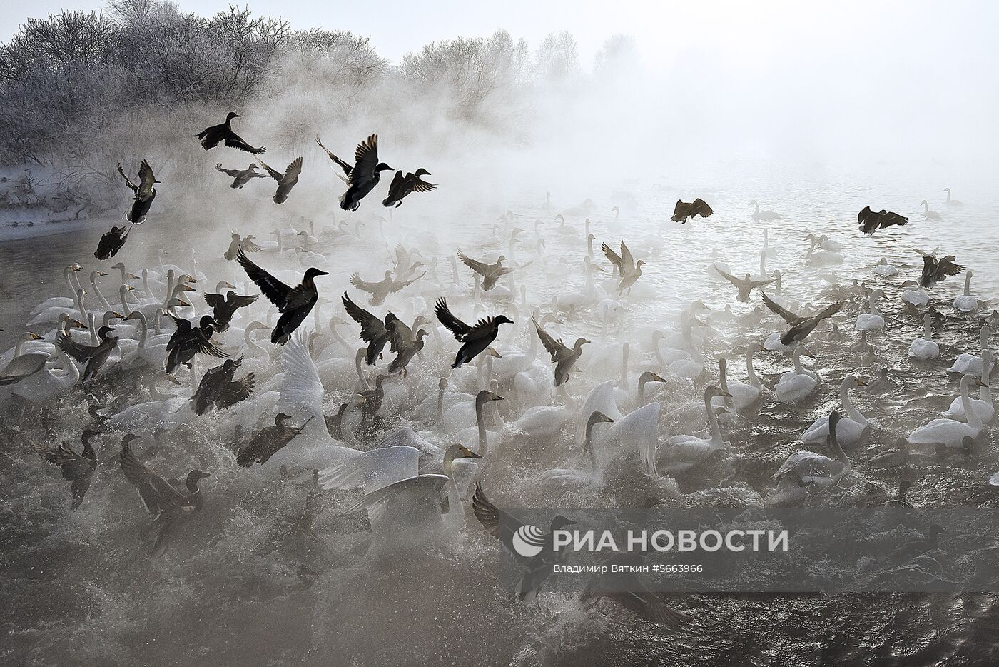 Фотоконкурс Start Photo Sofia 2018