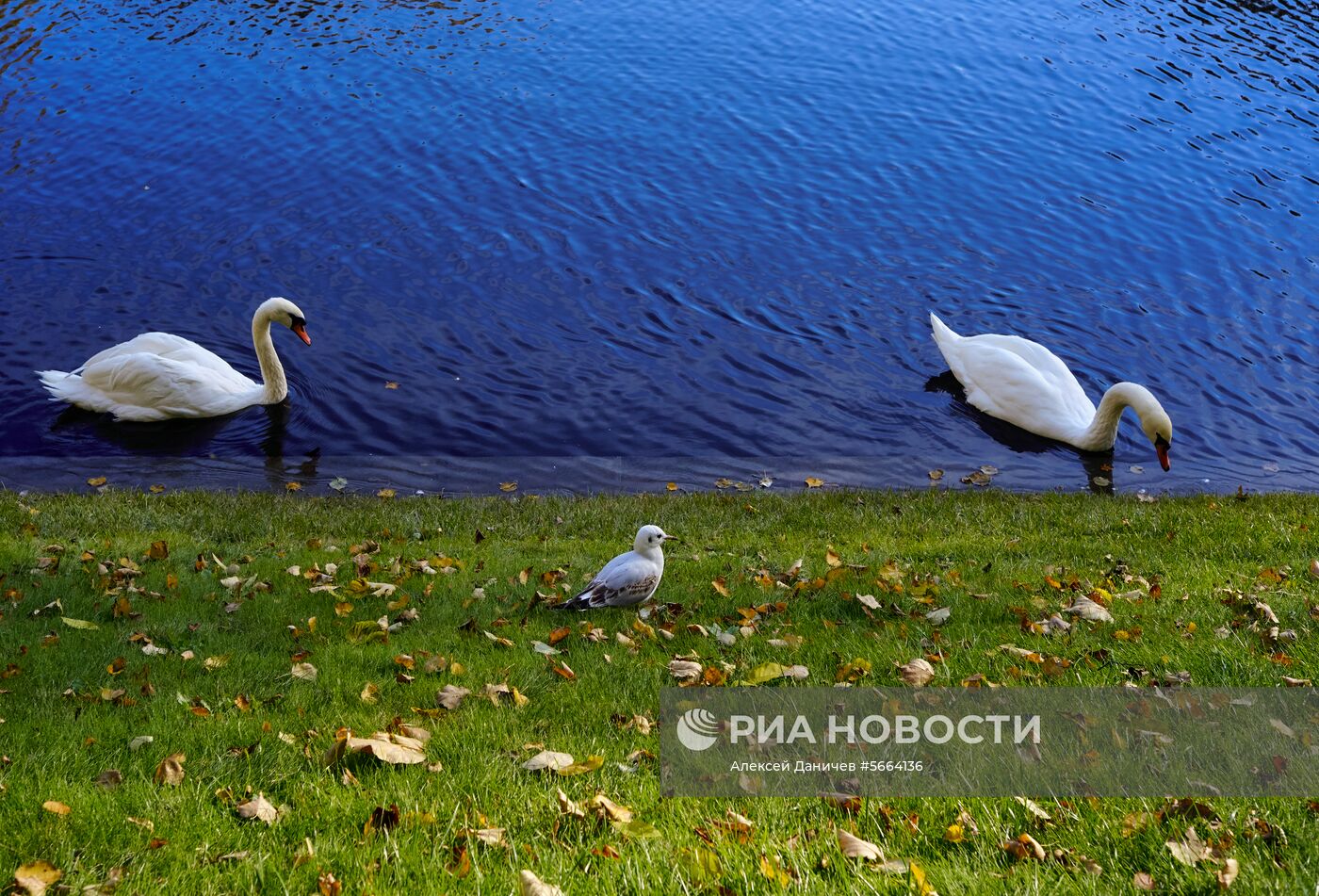 Осень в Санкт-Петербурге