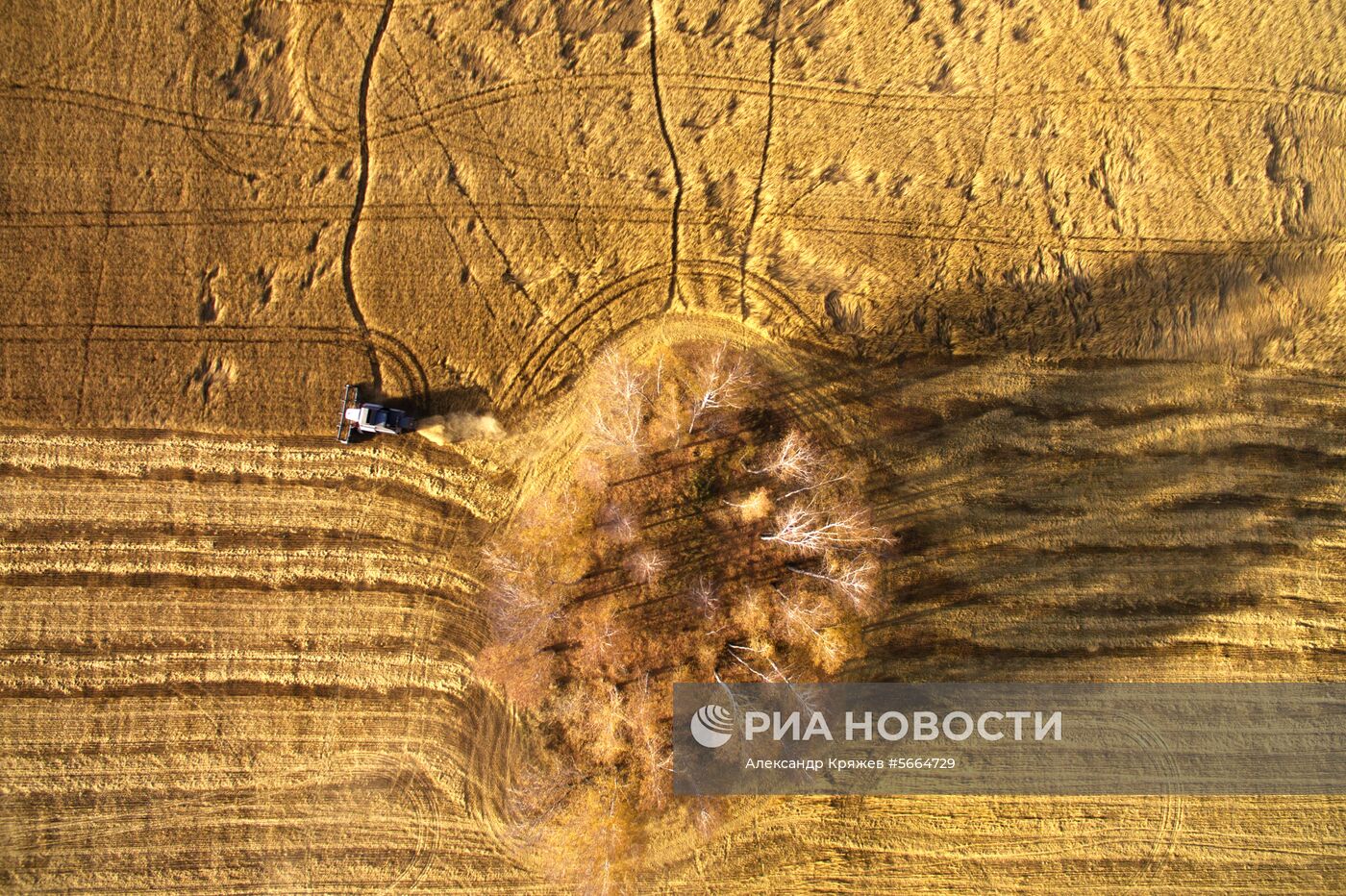 Уборка зерновых в Новосибирской области