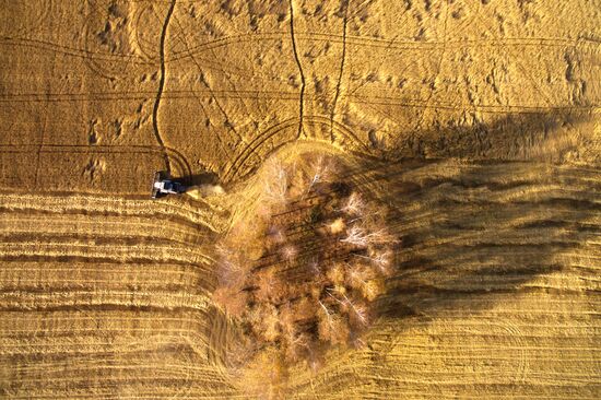 Уборка зерновых в Новосибирской области