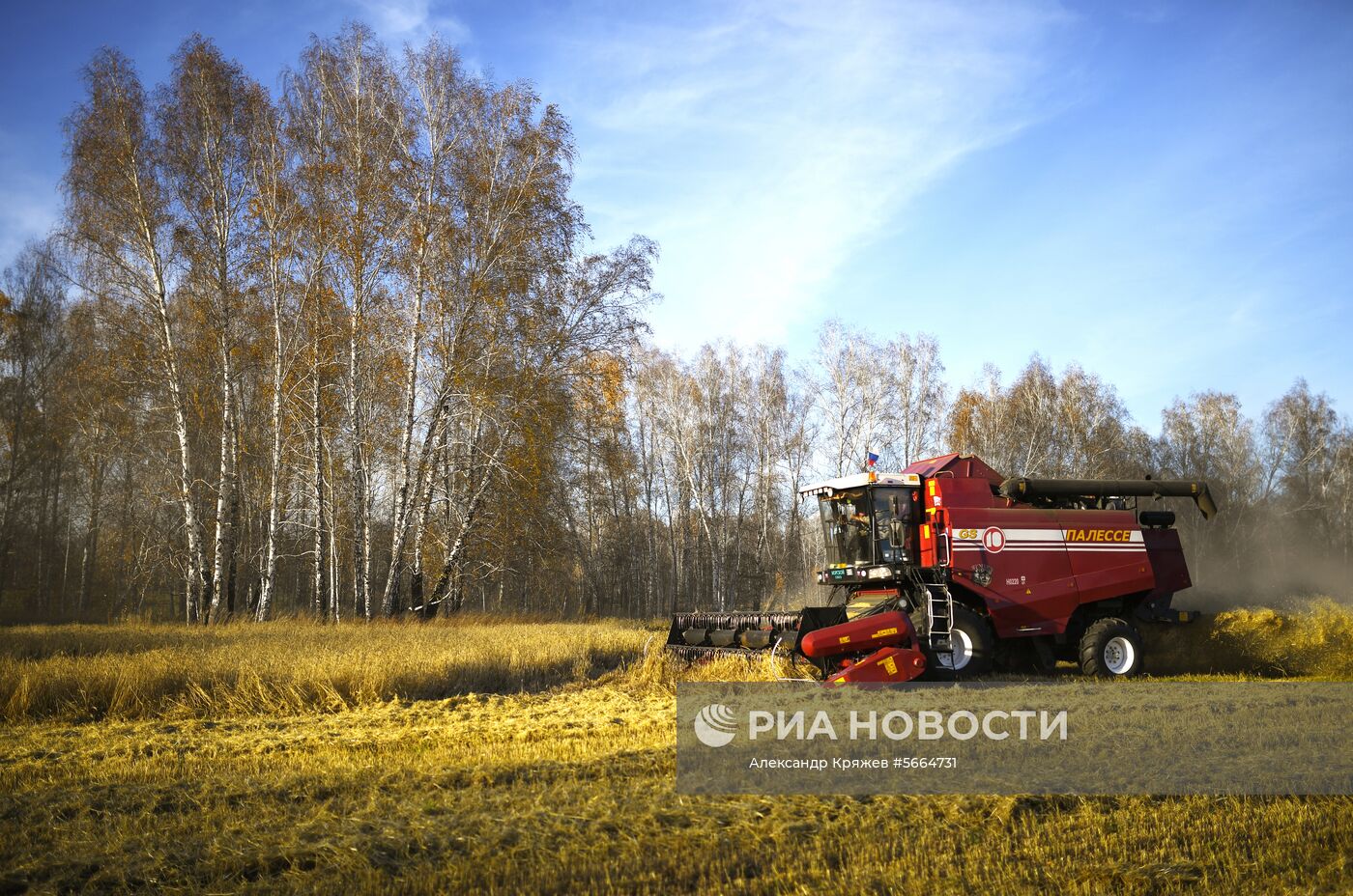 Уборка зерновых в Новосибирской области