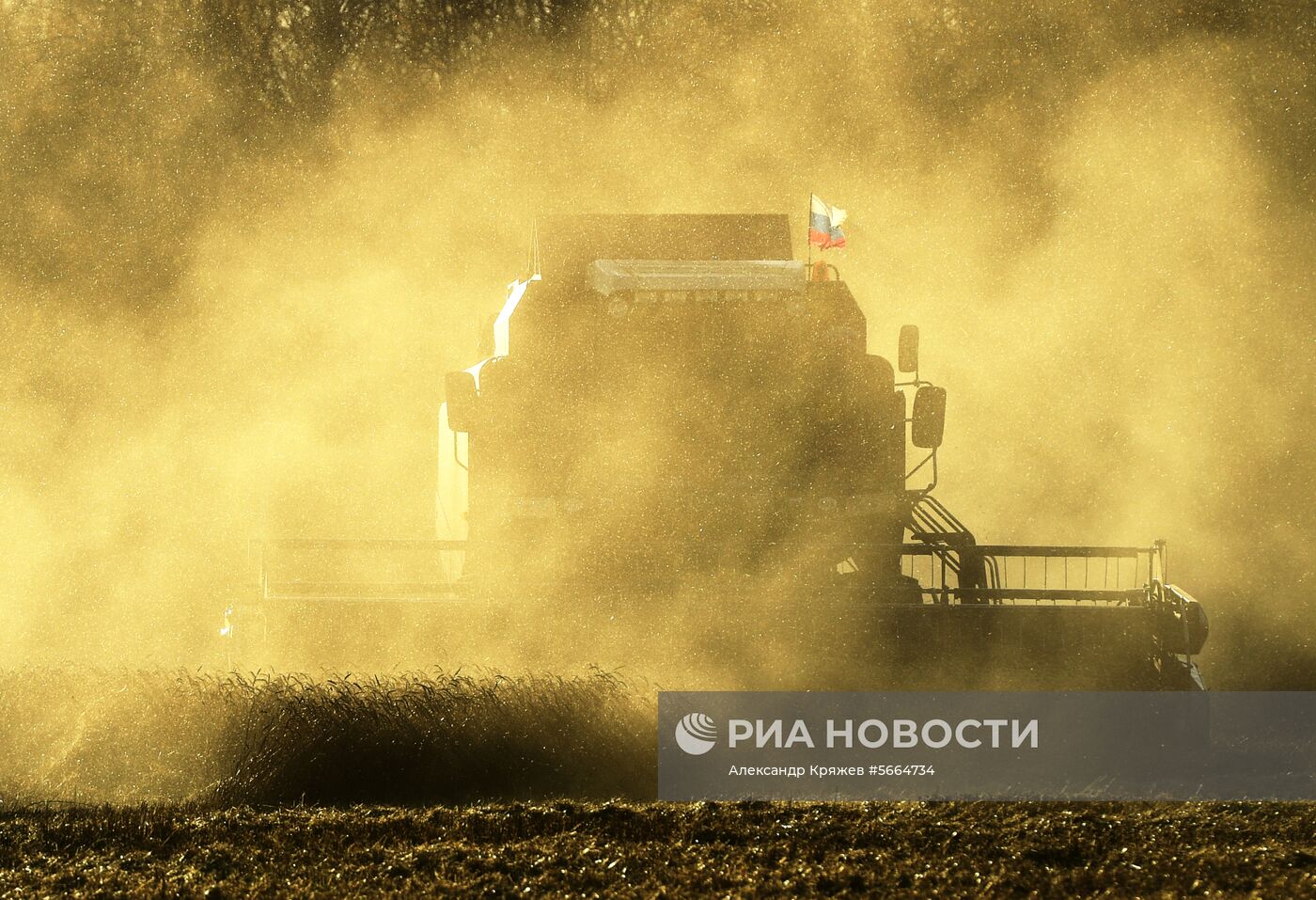 Уборка зерновых в Новосибирской области