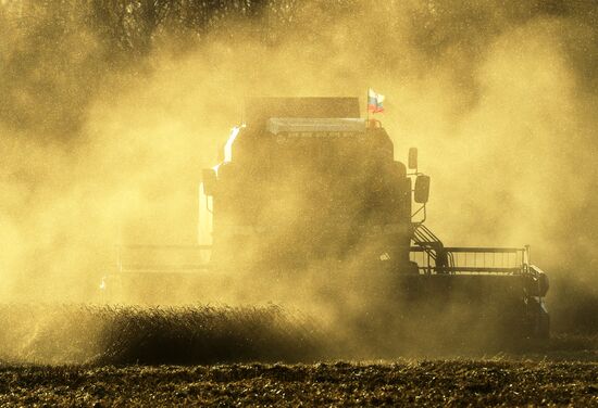Уборка зерновых в Новосибирской области