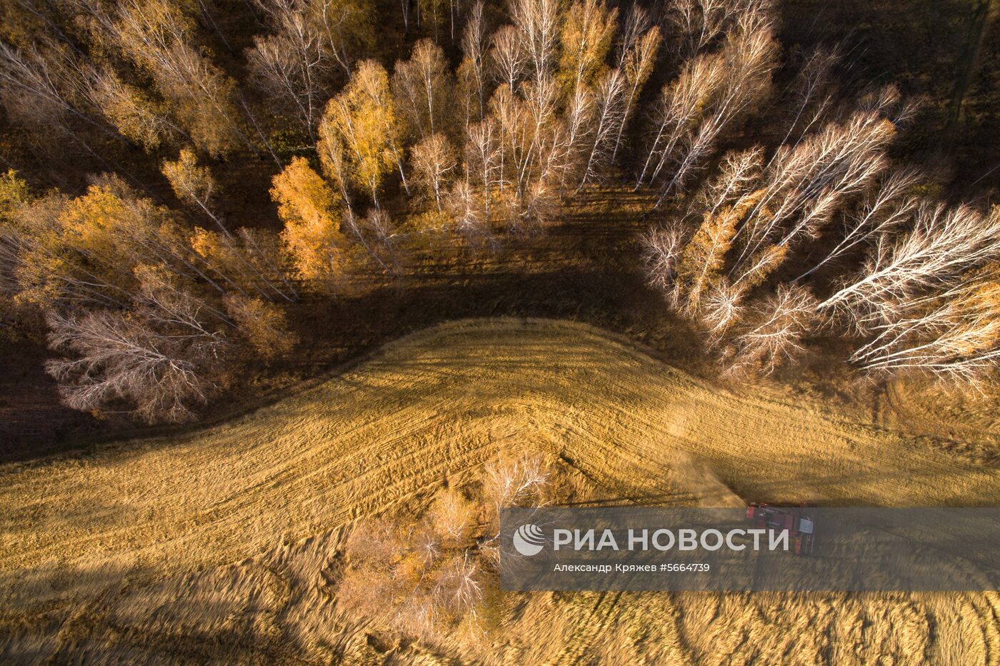 Уборка зерновых в Новосибирской области