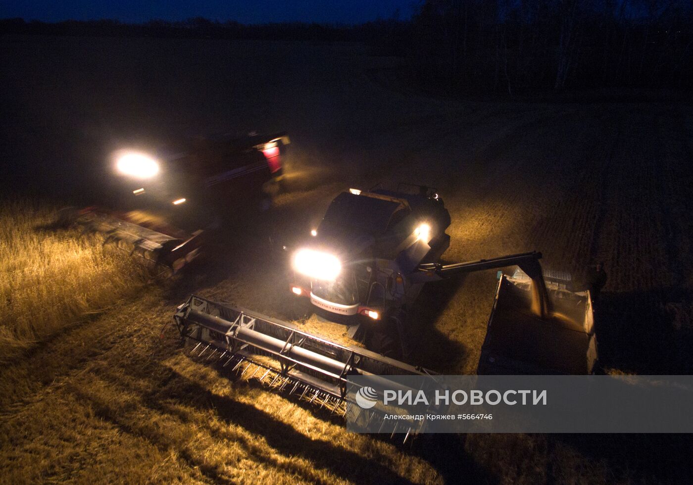 Уборка зерновых в Новосибирской области