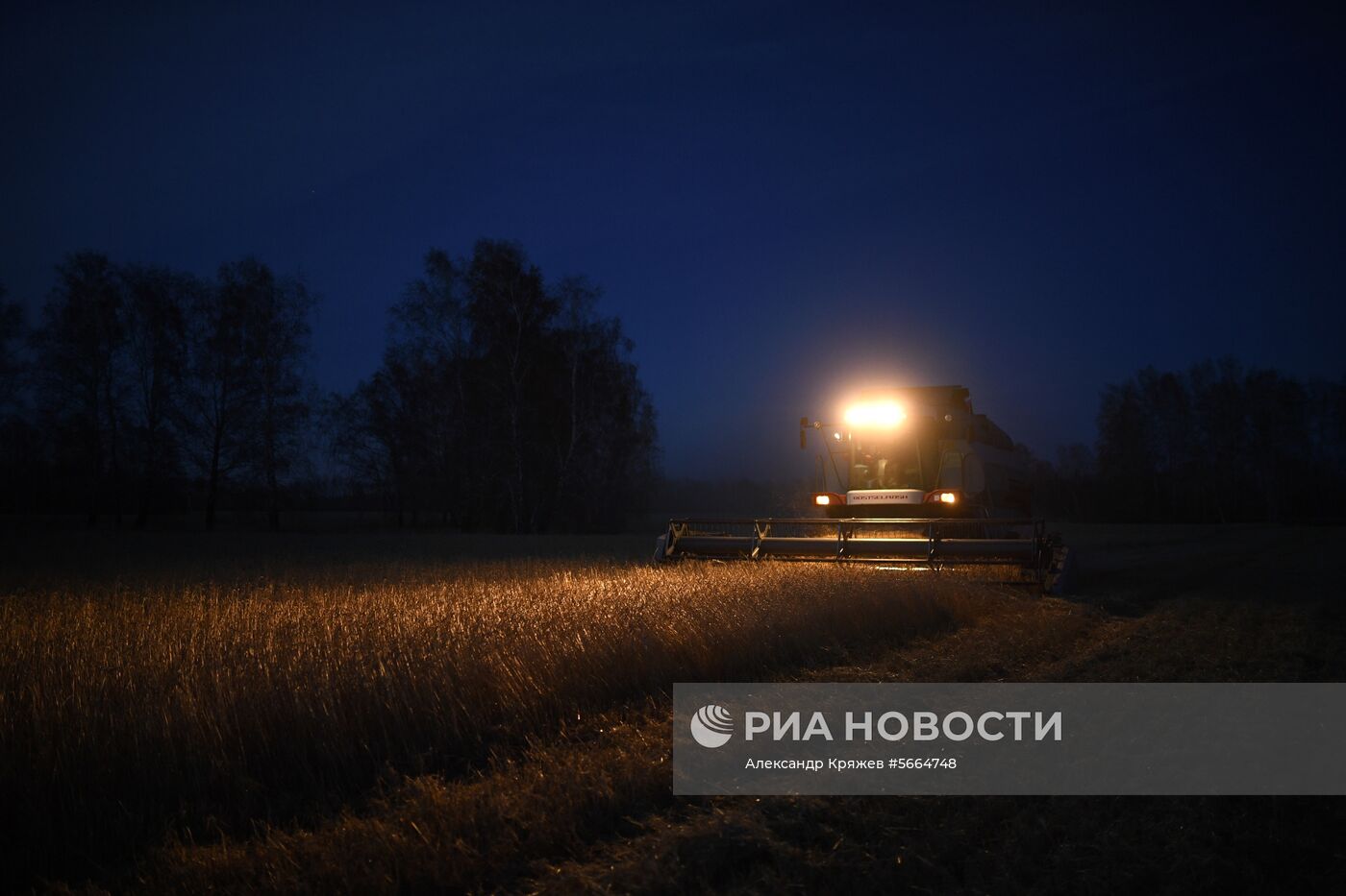 Уборка зерновых в Новосибирской области