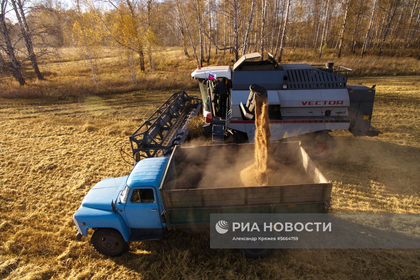 Уборка зерновых в Новосибирской области