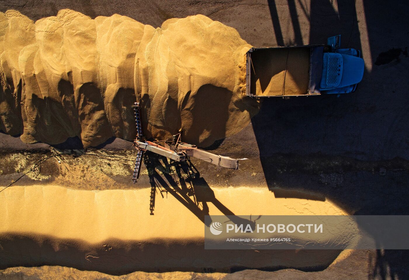 Уборка зерновых в Новосибирской области