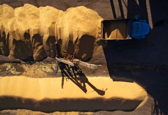 Уборка зерновых в Новосибирской области