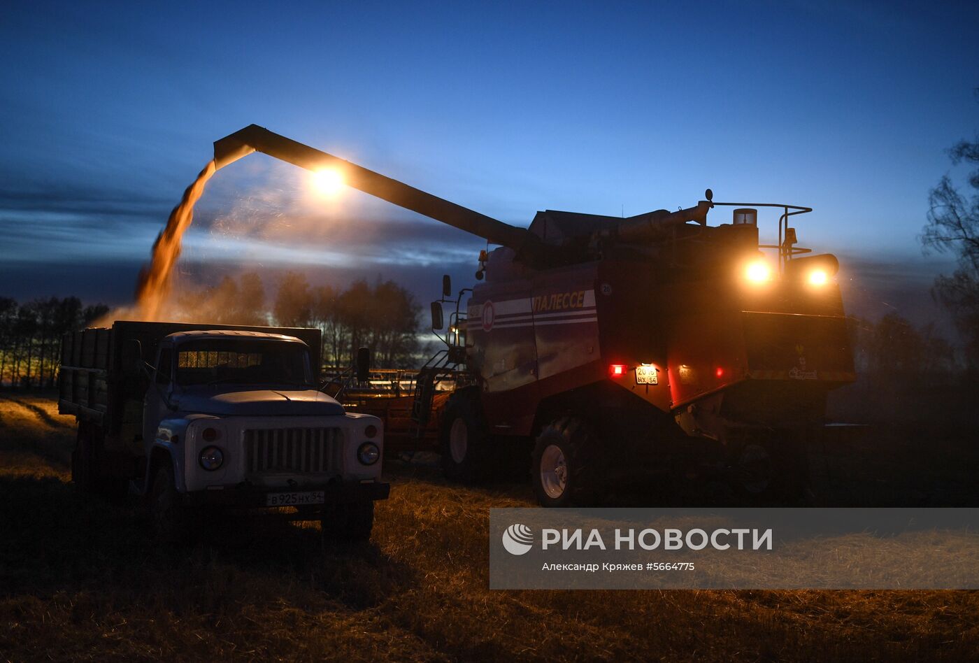 Уборка зерновых в Новосибирской области