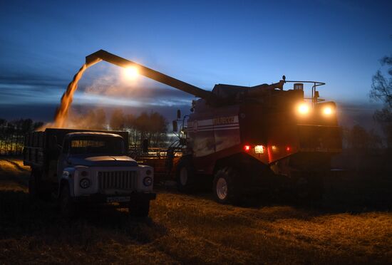 Уборка зерновых в Новосибирской области