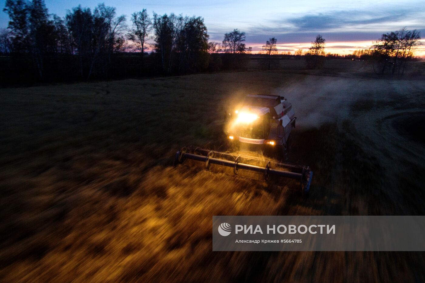 Уборка зерновых в Новосибирской области