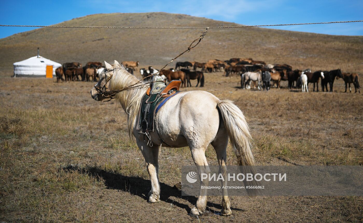 Страны мира. Монголия