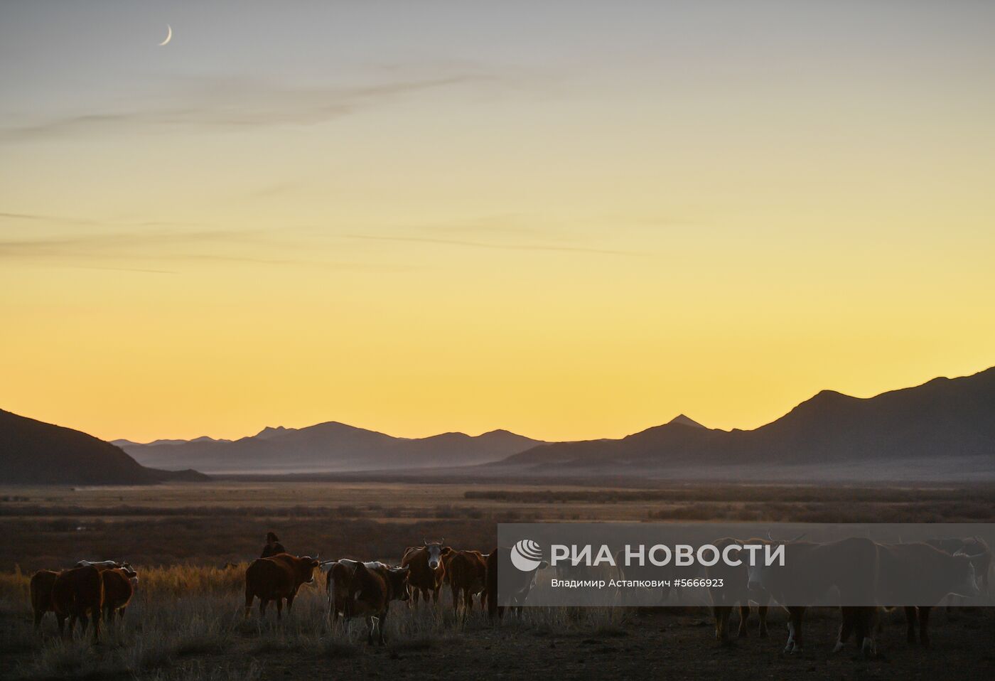 Страны мира. Монголия