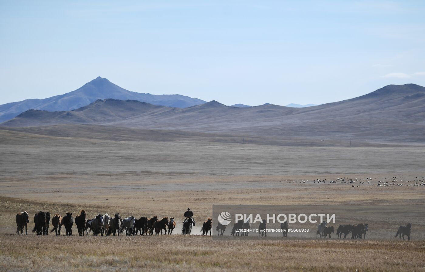 Страны мира. Монголия