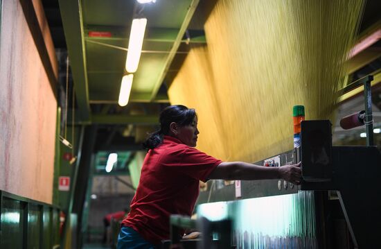 Фабрика по производству ковров «Эрдэнэт Хивс» в Монголии