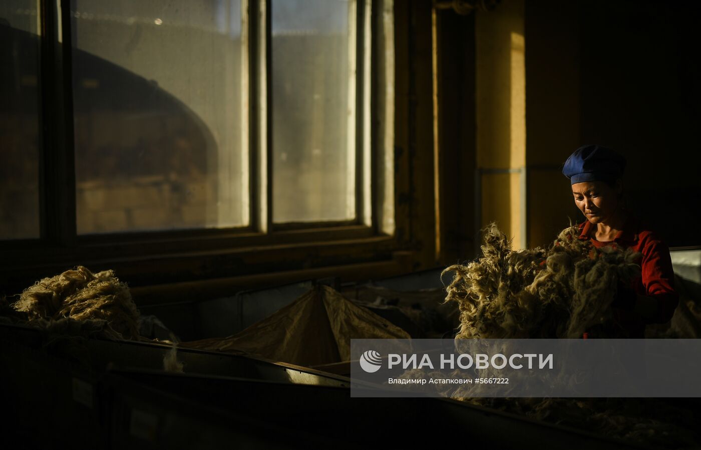 Фабрика по производству ковров «Эрдэнэт Хивс» в Монголии