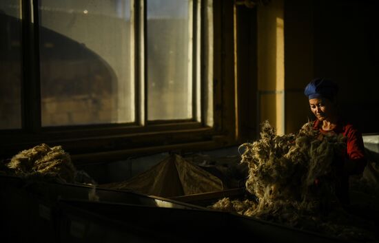 Фабрика по производству ковров «Эрдэнэт Хивс» в Монголии