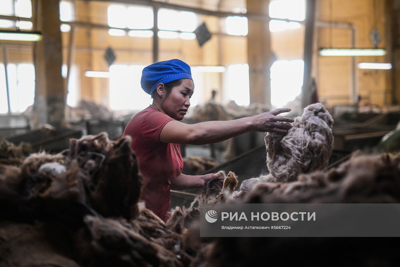 Фабрика по производству ковров «Эрдэнэт Хивс» в Монголии