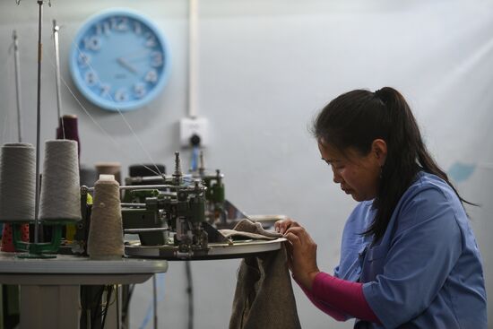 Фабрика по производству ковров «Эрдэнэт Хивс» в Монголии