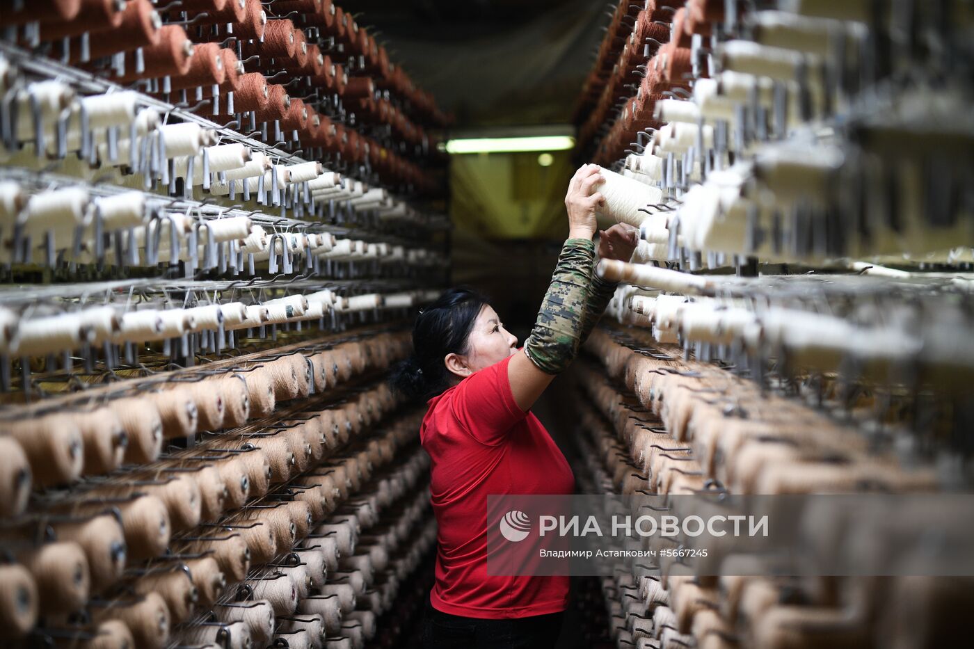 Фабрика по производству ковров «Эрдэнэт Хивс» в Монголии