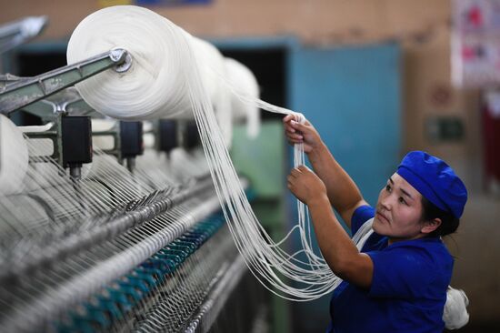 Фабрика по производству ковров «Эрдэнэт Хивс» в Монголии