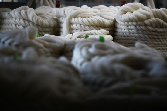 Фабрика по производству ковров "Эрдэнэт Хивс" в Монголии