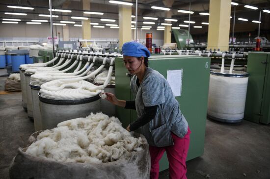 Фабрика по производству ковров «Эрдэнэт Хивс» в Монголии