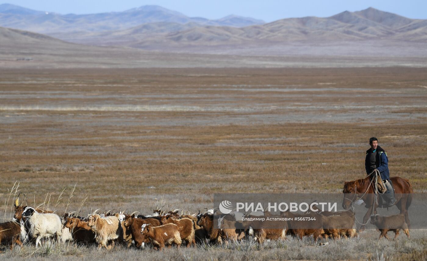 Скотовод в монголии букв 4 букв кроссворд. Скотовод в монголии. Город ховд монголия. Пастух в монголии. Пастух в монголии.