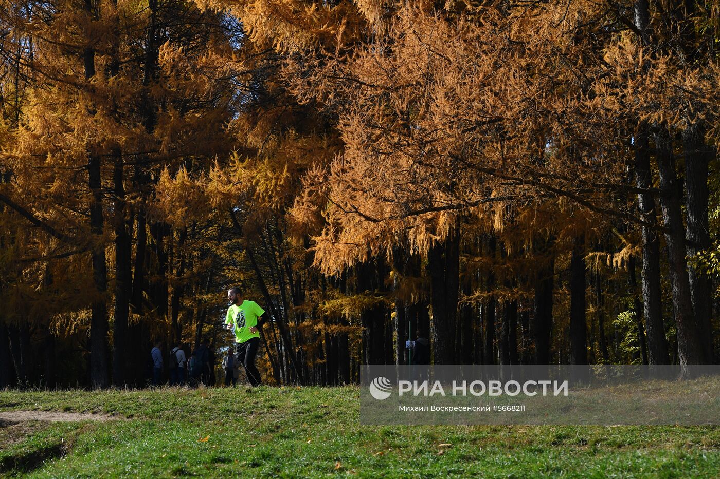 Осень в Москве