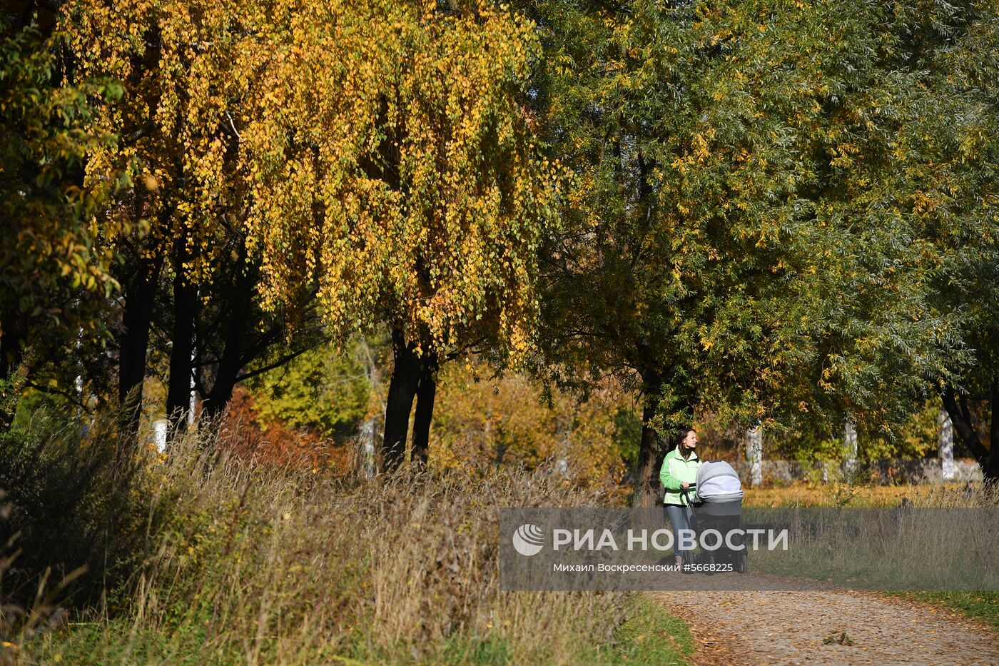 Осень в Москве