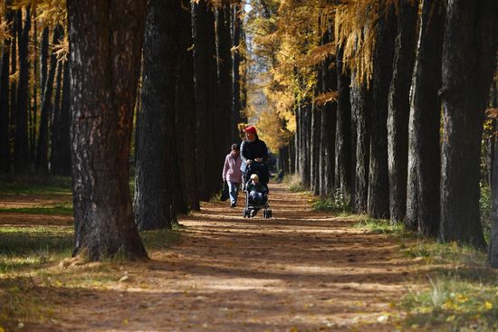 Осень в Москве