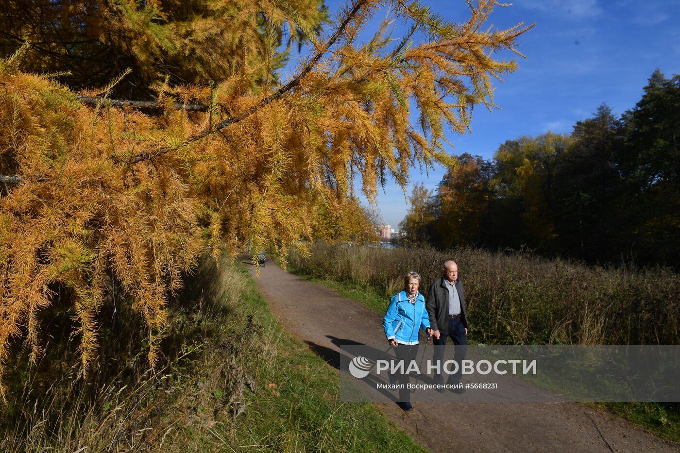 Осень в Москве