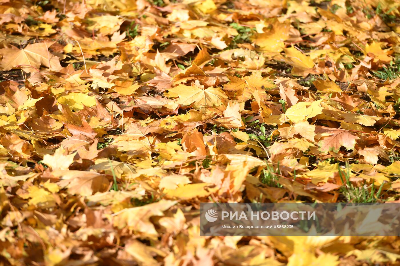 Осень в Москве